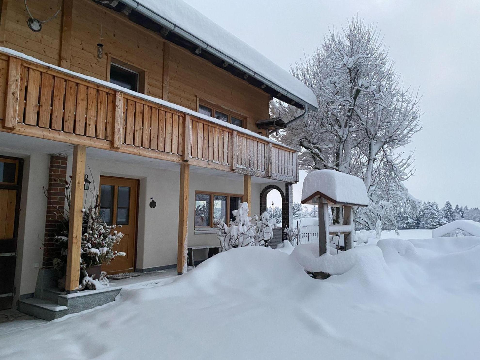 Trollenhof Im Allgaeu - Ferienwohnungen Saeuling Ruckholz Exterior photo