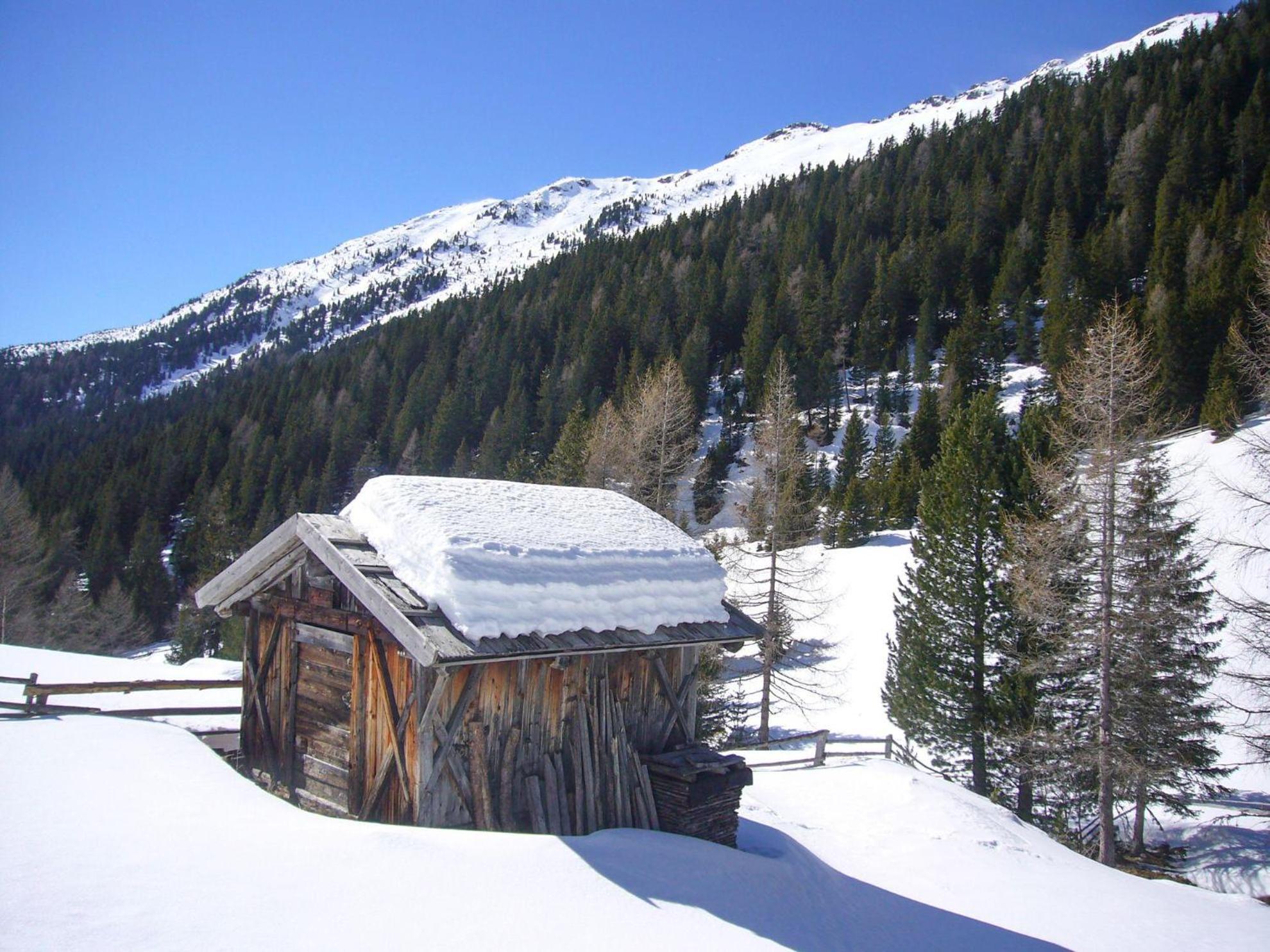 Trollenhof Im Allgaeu - Ferienwohnungen Saeuling Ruckholz Exterior photo