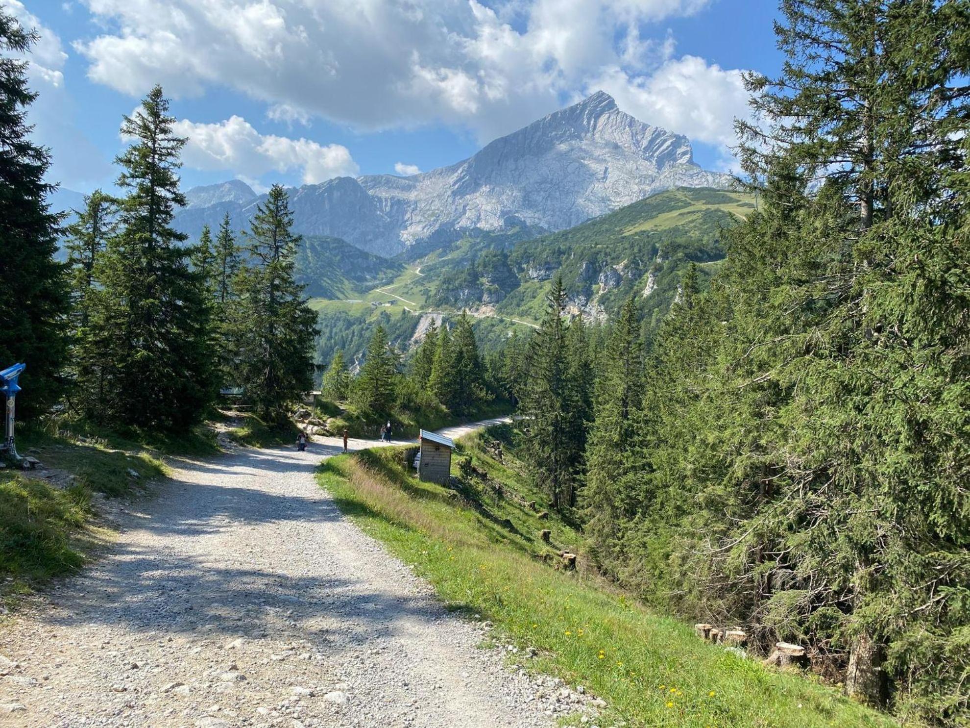 Trollenhof Im Allgaeu - Ferienwohnungen Saeuling Ruckholz Exterior photo