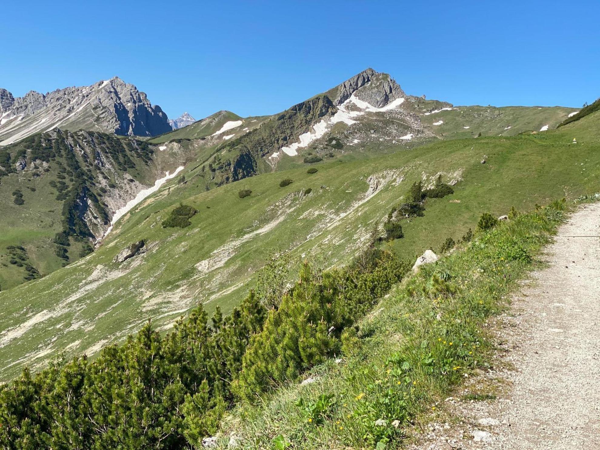 Trollenhof Im Allgaeu - Ferienwohnungen Saeuling Ruckholz Exterior photo